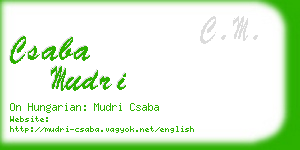 csaba mudri business card